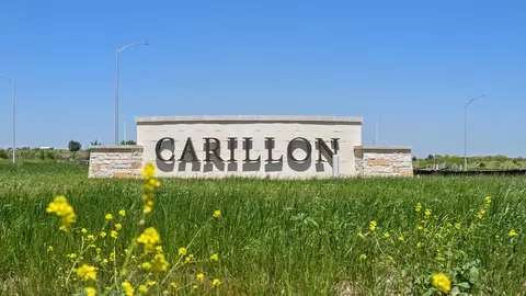 View/Area - 13407 Eppright Trce, Manor, TX 78653 photo 3 of 19
