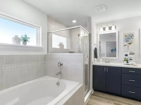 Bath - 12207 Cypress Branch St, Riverview, FL 33579 photo 2 of 5