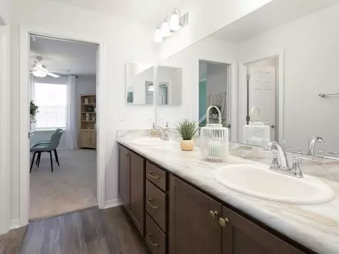 Bath - 12207 Cypress Branch St, Riverview, FL 33579 photo 5 of 5