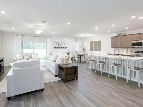 Other - 12207 Cypress Branch St, Riverview, FL 33579 photo 10 of 13