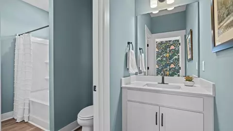 Bath - 1022 Devenger Rd, Greer, SC 29650 photo 6 of 9
