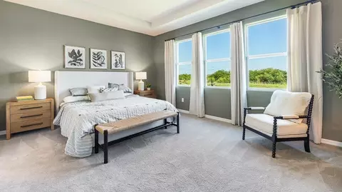Bedroom - 18331 Tavernside Trl, Bradenton, FL 34211 photo 5 of 5