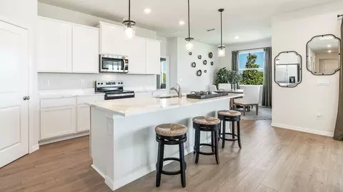 Kitchen - 18331 Tavernside Trl, Bradenton, FL 34211 photo 6 of 6