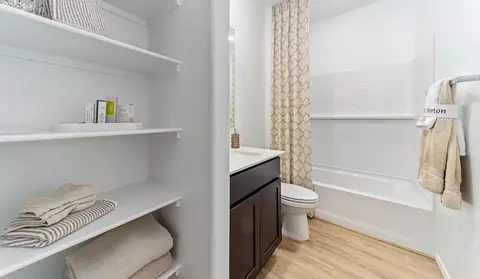 Bath - 12312 E Morris Carson Dr, Vail, AZ 85641 photo 3 of 7