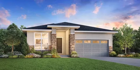 415 Basin Daisy St, Castle Rock, CO 80104