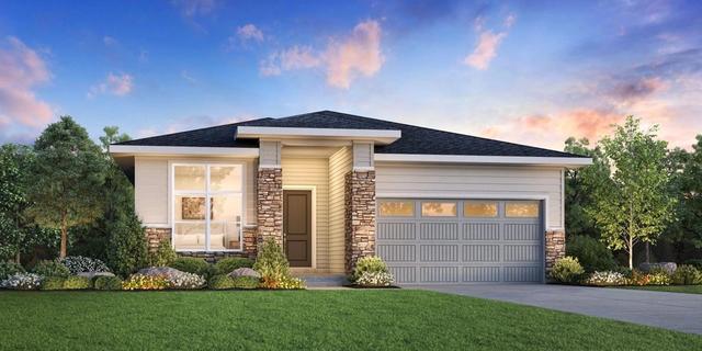415 Basin Daisy St, Castle Rock, CO 80104
