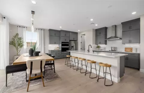 Kitchen - 313 E Beatrice Ave, Mountain House, CA 95391 photo 3 of 3