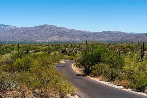 Exterior - 9124 E Indigo Bluff St, Tucson, AZ 85730 photo 5 of 5