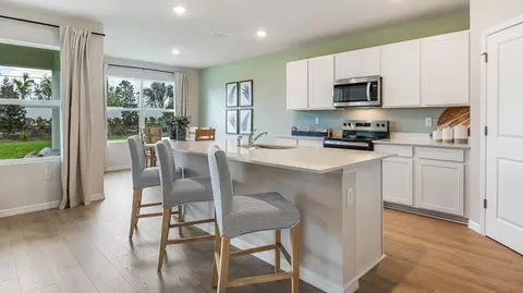 Kitchen - 17943 Wheat Stack Ct, Parrish, FL 34219 photo 6 of 6
