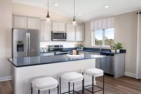 Kitchen - 20303 Lavender Bloom Loop, Mount Dora, FL 32757 photo 1 of 1