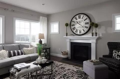Living - Orange Tree Lane, Westminster, MD 21157 photo 21 of 35