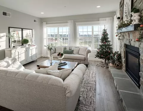 Living - Orange Tree Lane, Westminster, MD 21157 photo 14 of 35