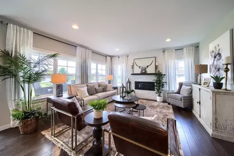 Living - Orange Tree Lane, Westminster, MD 21157 photo 7 of 35