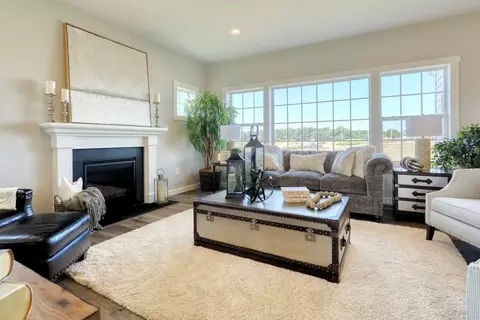 Living - Orange Tree Lane, Westminster, MD 21157 photo 6 of 35