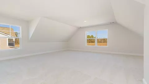 732 Doonbeg Ct, Conway, SC 29526 photo 19