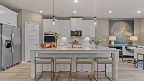 Kitchen - 105 Haverling Pass, Hampton, GA 30228 photo 1 of 7