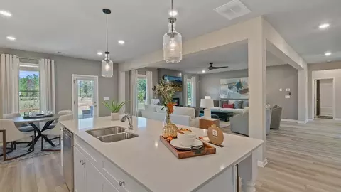 Kitchen - 105 Haverling Pass, Hampton, GA 30228 photo 4 of 7