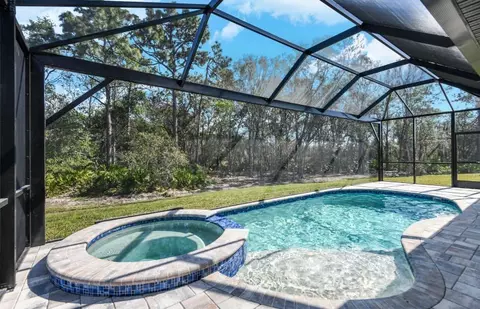 Exterior - 11435 Emberstone Cir, Parrish, FL 34219 photo 2 of 9
