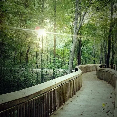 Other - 1188 Summer Duck Loop, Florence, SC 29501 photo 8 of 10