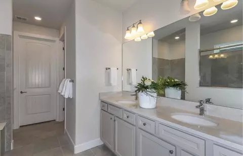 Bath - 11272 Meadow River Way, Parrish, FL 34219 photo 1 of 2