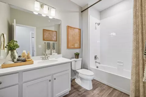 Bath - 400 Millwall Cir, Castle Pines, CO 80108 photo 3 of 3