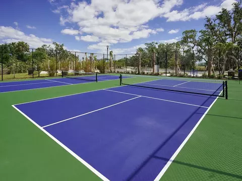 View/Area - 7729 Satterfield Ter, Parrish, FL 34219 photo 4 of 5