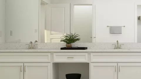 Bath - 11585 Violet Jasper Dr, Parrish, FL 34219 photo 5 of 8