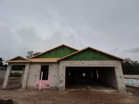 Exterior - 13792 Chestnut Ridge Dr, Hudson, FL 34669 photo 2 of 6