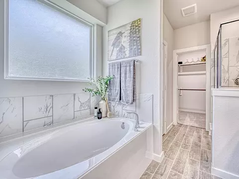 Bath - 8427 Shyleaf Ct, Fulshear, TX 77441 photo 2 of 3