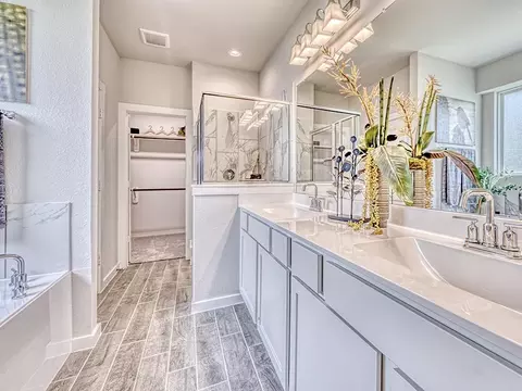 Bath - 8427 Shyleaf Ct, Fulshear, TX 77441 photo 3 of 3