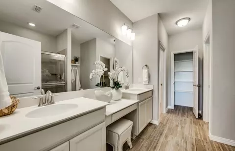 Bath - 2908 Hillstone Dr, Celina, TX 75009 photo 1 of 3