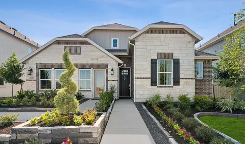 21515 Vineyard View Dr, Waller, TX 77484