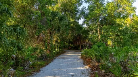 5032 Lowland Ter, Parrish, FL 34219 photo 28