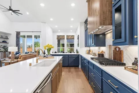 Kitchen - 325 Vale Run, Kyle, TX 78640 photo 3 of 8