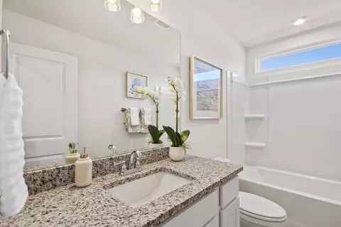 Bath - 711 Miller Tree Way, Elgin, SC 29045 photo 3 of 4