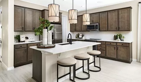 Kitchen - 86 Waterstone Loop, Tavares, FL 32778 photo 8 of 10