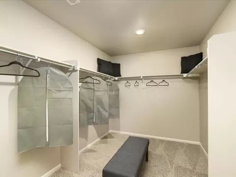 Other - 1633 Colorado River Dr, Windsor, CO 80550 photo 4 of 4