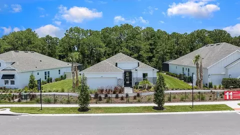 View/Area - 1009 Tassleflower Trl, Saint Cloud, FL 34771 photo 10 of 20