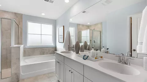 Bath - 376 Camellia Bloom Dr, Moncks Corner, SC 29461 photo 3 of 5