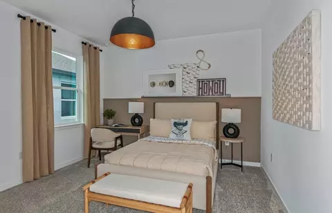 Bedroom - 13716 Sunlight Meadow Dr, Riverview, FL 33578 photo 4 of 4