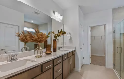Bath - 13716 Sunlight Meadow Dr, Riverview, FL 33578 photo 2 of 3