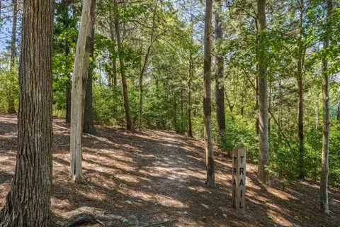 Other - 706 Hyperion Aly, Wake Forest, NC 27587 photo 9 of 9