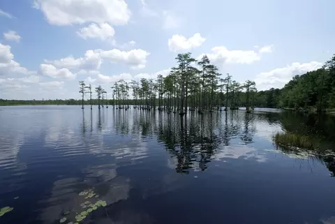 View/Area - 2012 Rexford Ct, Camden, SC 29020 photo 1 of 2