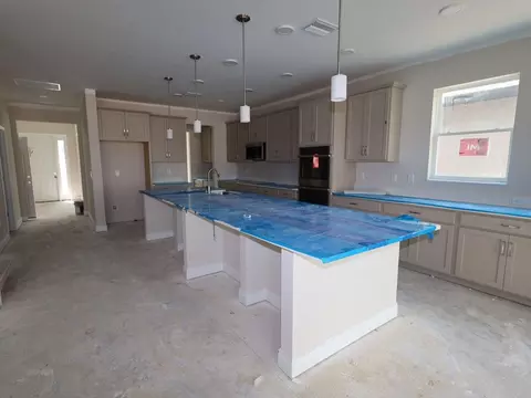 2172 Clary Sage Dr, Spring Hill, FL 34609