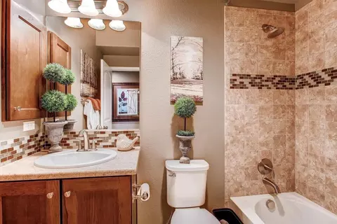 Bath - 17534 Cerberus Ct, Monument, CO 80132 photo 1 of 8