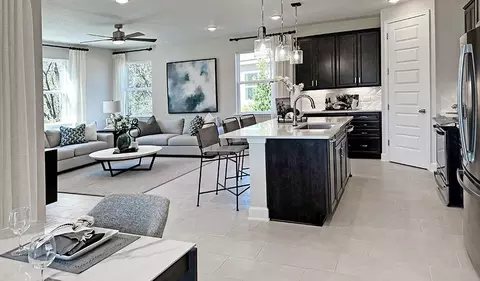 Kitchen - 5357 Wolf Creek Dr, Apollo Beach, FL 33572 photo 8 of 10