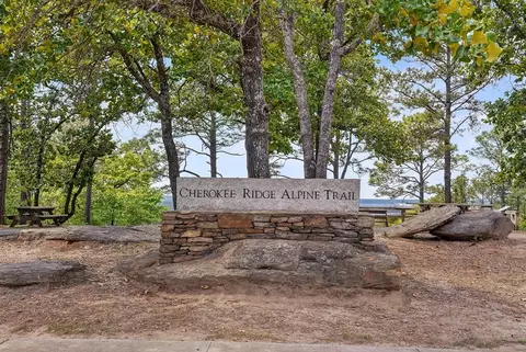 Other - Claud Rd/overcup Dr, Eclectic, AL 36024 photo 3 of 4