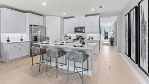 Kitchen - 17962 Shade Tree Loop, Punta Gorda, FL 33982 photo 2 of 6