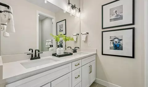 Bath - 16883 Mighty Eagle Ave, Parker, CO 80134 photo 2 of 4
