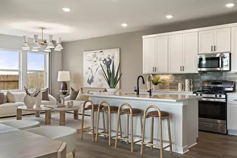 Kitchen - 209 Simba St, Georgetown, TX 78626 photo 3 of 6